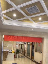 -碧莲盛·不剃发植发