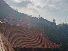 -深圳仙湖植物园