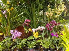 -国家植物园南园