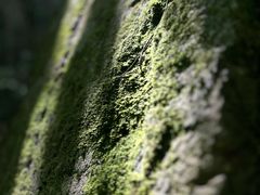 -本溪汤沟绿石谷森林公园
