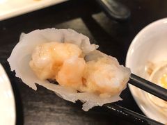 添运来虾饺皇-添运来(茶园奥园广场店)
