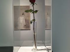 -清华大学艺术博物馆