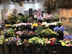 -ChaKo Flora ·茶子花艺 (市北店)