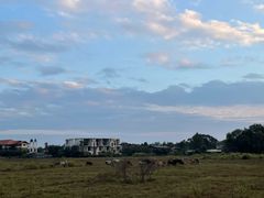 -Chom Cafe and Restaurant