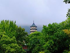 -灵谷景区