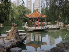 -西苑公园