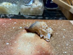 -荣一代目OMAKASE板前料理