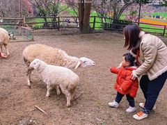 -秀丽东方