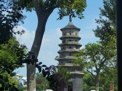 -黄海国家森林公园