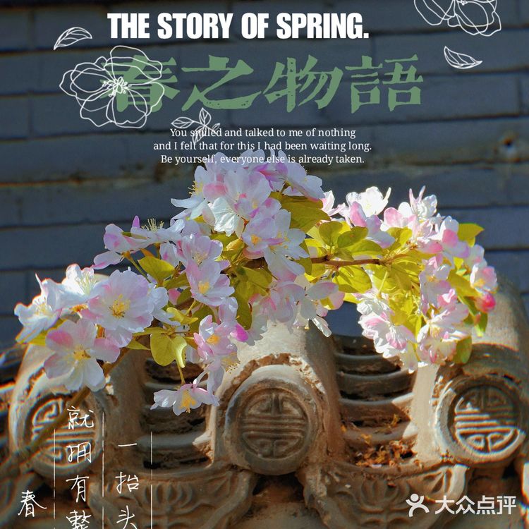 🌸京城赏花攻略|北土城地铁口,让你免费拥抱海棠花海🌷