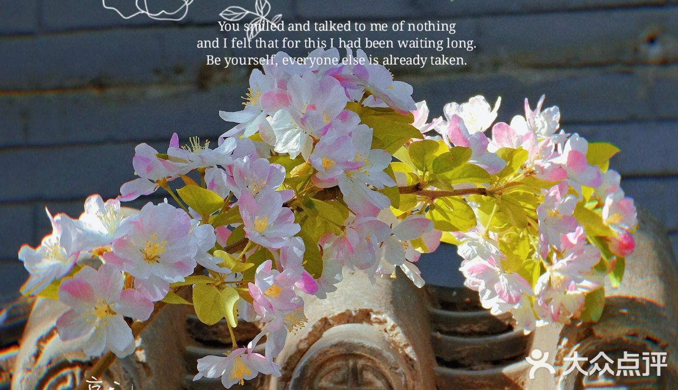 🌸京城赏花攻略|北土城地铁口，让你免费拥抱海棠花海🌷