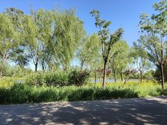-东郊湿地公园