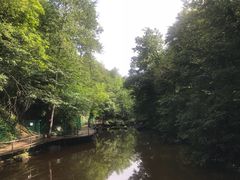 -茅兰沟国家森林公园