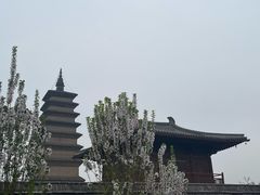 -正定古城-开元寺