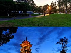 -洋湖国家湿地公园