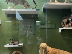 -国家自然博物馆