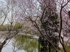 -团结湖公园