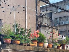 -花园菜市场
