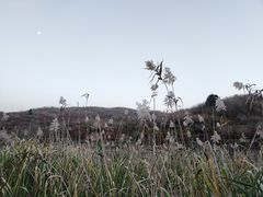 -四明山国家森林公园