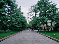 -宋庆龄陵园
