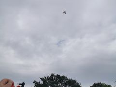 -云漫湖生态度假公园