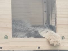 -青藏高原野生动物园