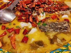招牌酸菜鲈鱼-禄鼎记·多口味酸菜鱼(侨鑫店)