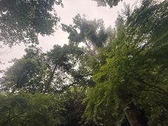 -佛慧山