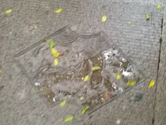 -普陀山风景名胜区-千步大沙