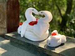 -天目湖涵田半山温泉