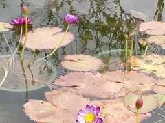 -上海植物园-4号门售票处