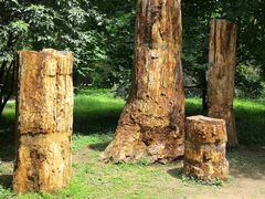 -国家植物园南园