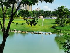 -宝安西湾红树林湿地公园