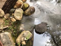-三亚海棠湾南田温泉神龙谷
