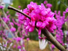 -白塘生态植物园