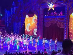 -珠海横琴长隆《卡卡虎奇遇记》