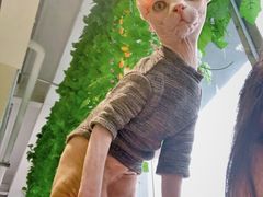 -藏猫猫咖啡主题馆(中央大道店)