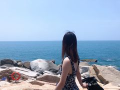 -广东惠东海龟国家级自然保护区