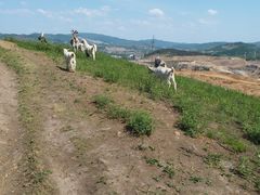 -玉泉威虎山森林公园