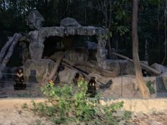 -清迈夜间动物园