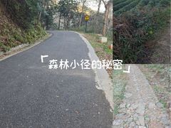 -午潮山国家森林公园