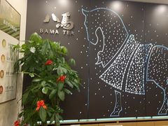 -八马茶业(胜利路旗舰店星海湾茶馆)