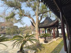 -苏州文庙(姑苏区)