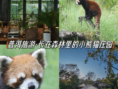 -普洱太阳河森林公园
