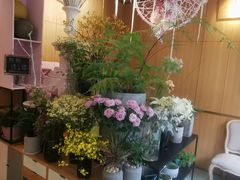 -蝶舍·MAISON PAPILLON