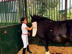 -月河湾马术俱乐部(朝阳店)