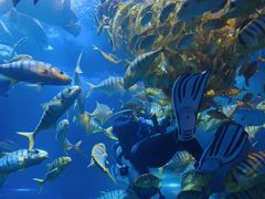 -太平洋海底世界