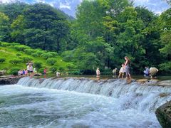 -广州市石门国家森林公园