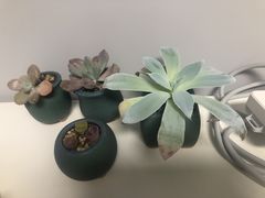 -李村大集