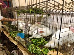 -米二红烧兔(华阳店)